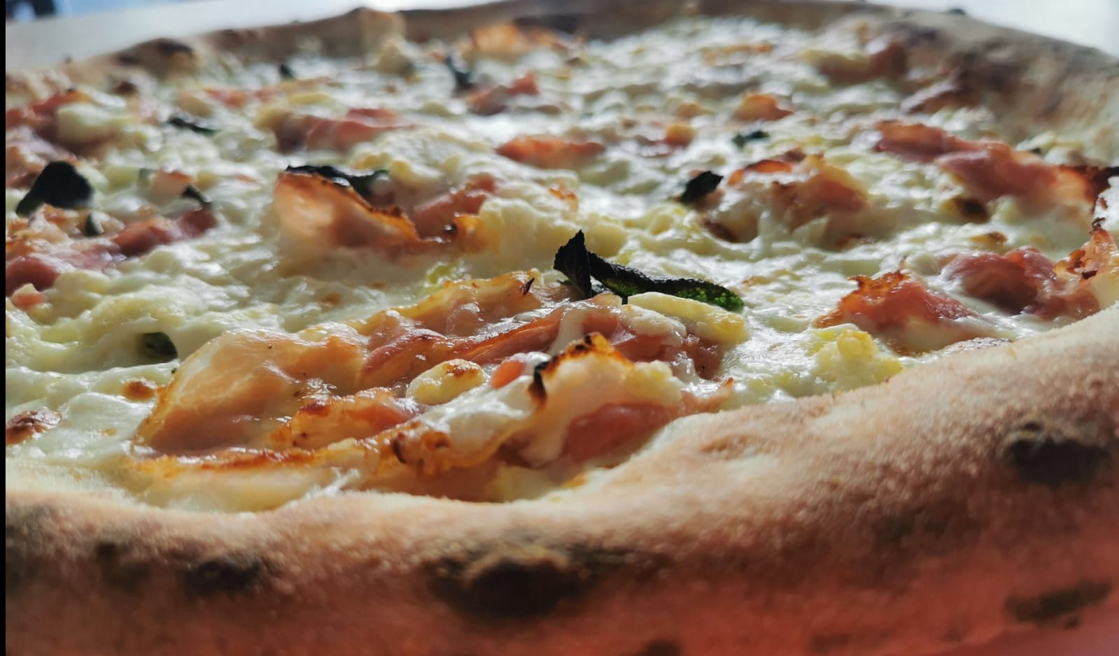 Croccanti Pizze Gluten Free